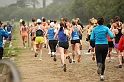 2011 BayXC-103